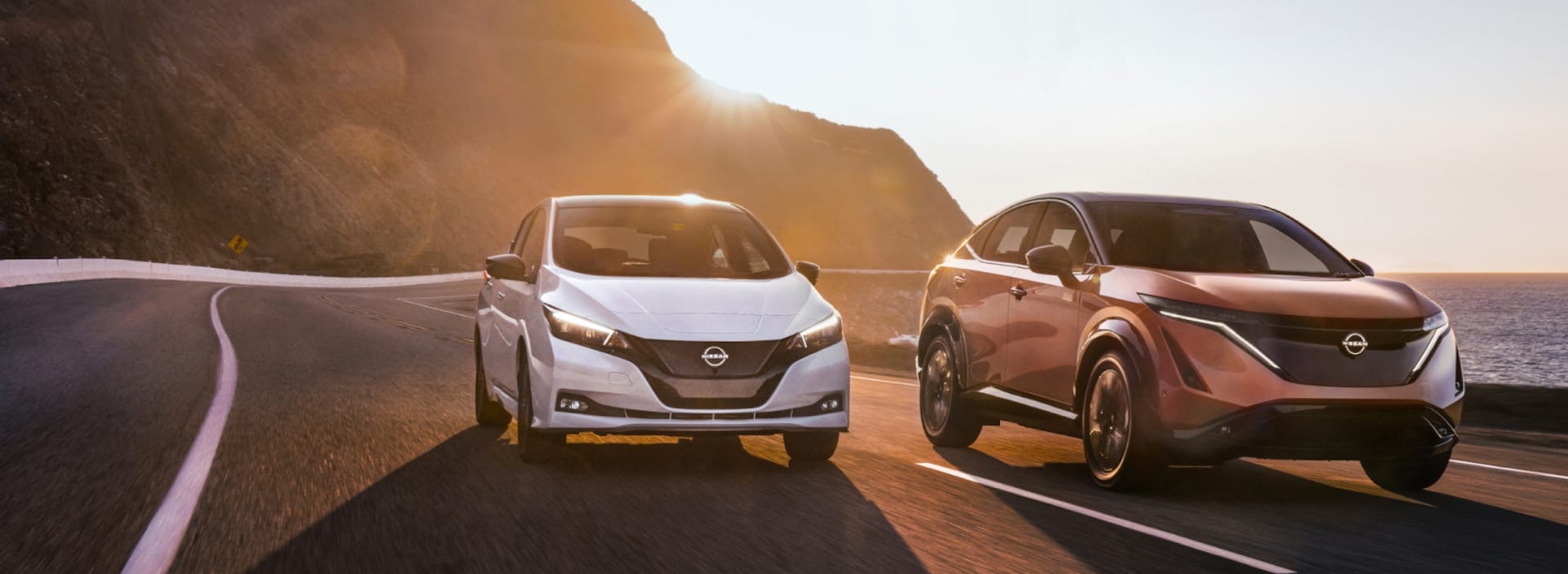 Nissan Leaf vs Ariya