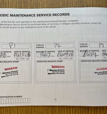 pos na diavasete to service history tou nissan sas